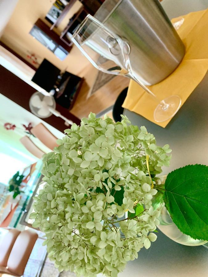 Luxurious City Apartment Incl Garage And Terrace Wien Eksteriør bilde